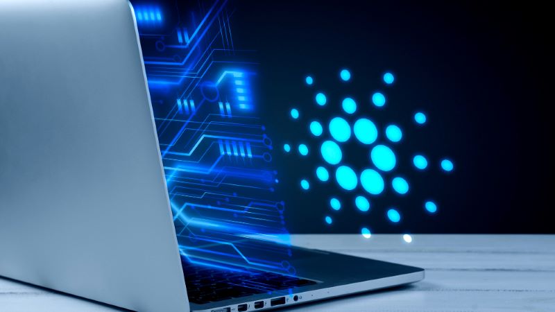 What Is Ad Fraud Doing to Publishers and Advertisers?